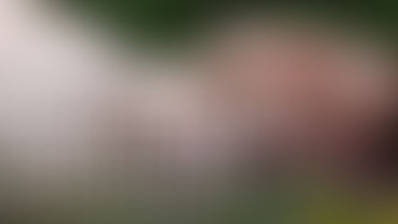 Review: Leopard Print Loincloth at Theatre Works