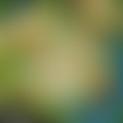 Review: The Wasp at Flight Path Theatre