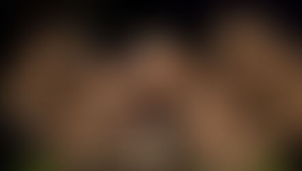 Review: I’m a Phoenix, Bitch at Studio Underground