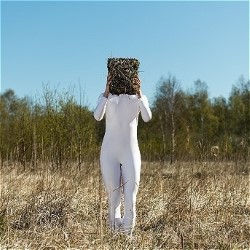 Review: Harvest at Zoo Venues - Ed Fringe