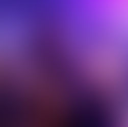 Review: Porpoise Pool at Belvoir 25A