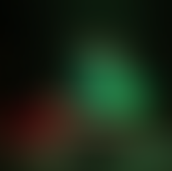 Review: Woodhill at Summerhall - Ed Fringe