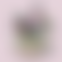 Review: Circus in a Teacup at the Cremorne Theatre, QPAC