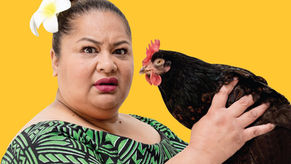 Review: Still Life with Chickens at Riverside Theatres
