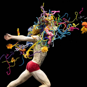 Review: Wayfinder at Space Theatre, Adelaide Festival Centre