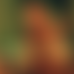 Review: ALTAR at Abbotsford Convent