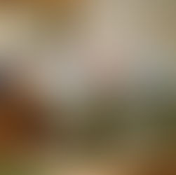 Review: Star-Spangled Banter - Online - Melbourne Fringe Festival