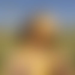 Review: Mustard at The Arch at Holden Street Theatres