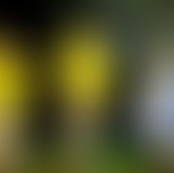 Review: The Wharf Revue 2022: Looking for Albanese