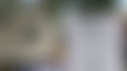 Review: Flight at the Garden of Unearthly Delights