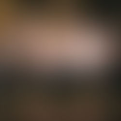 Review: The Flock and Moving Cloud at Zoo Southside - Edinburgh Festival Fringe