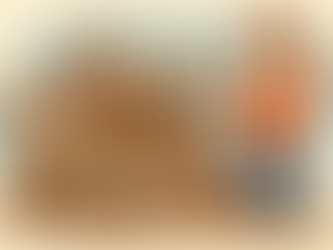 Junk Around construction debris removal and renovation debris cleanup.