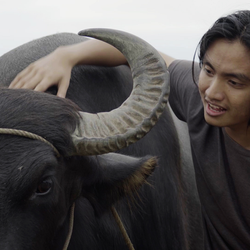 Bakit Ako Sinusundan ng Buwan?