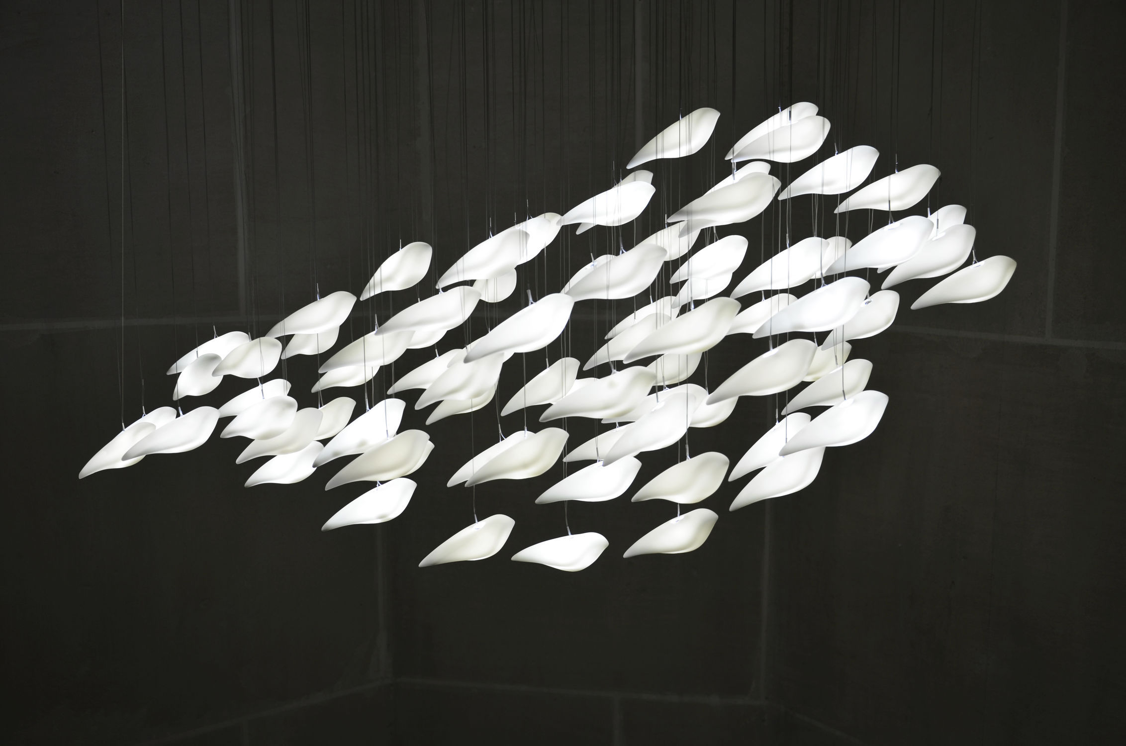 Luminaires Beau et Bien