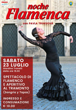 Noche flamenca en Italia