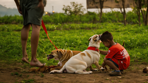 Ensuring Ethical Treatment: The Importance of Animal Welfare in Biology