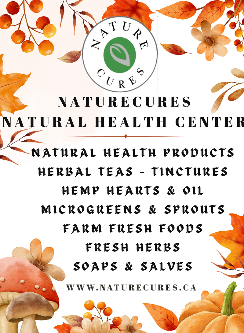 The guide book to a Naturecares Lifestyle (9).png