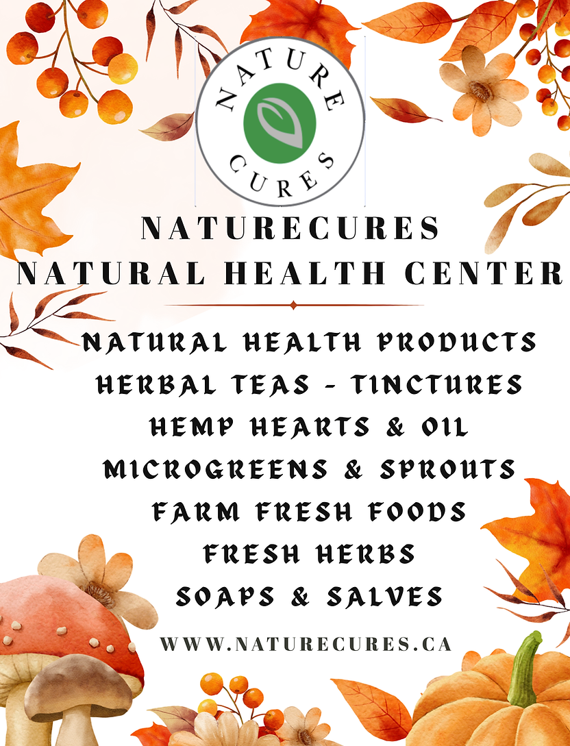 The guide book to a Naturecares Lifestyle (9).png