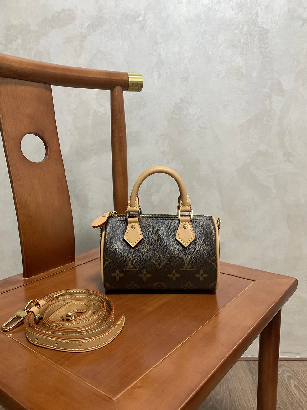 LV Nano Speedy Front With Strap