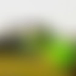 Pre college recruitment