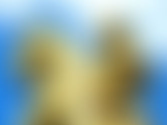 Are You Proud To Be A Man?