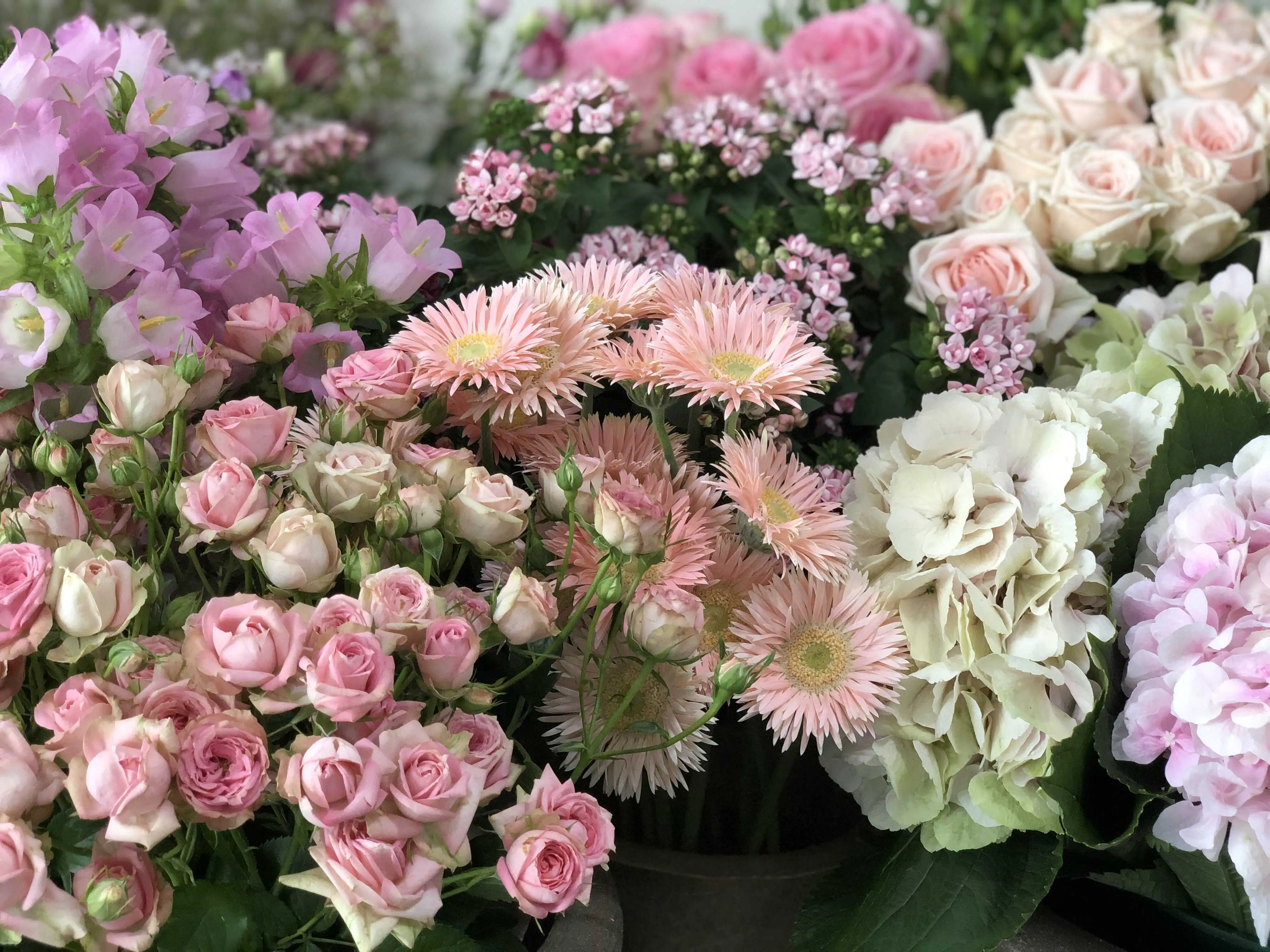 Marlies-Fleurs-fleuriste-nimes-accueil.webp