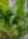 334A2014_edited_edited_edited.jpg