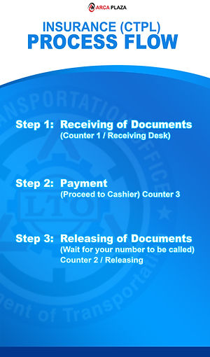 INSURANCE (CPTL) PROCESS FLOW.jpg