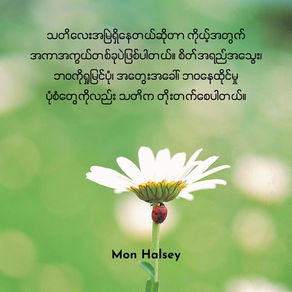 A ladybug on a white daisy against a blurred green background. Text in a foreign script is visible at the top. "Mon Halsey" is at the bottom.