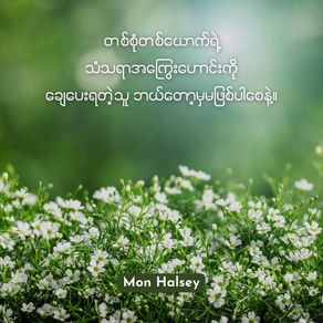 White flowers in a lush green field with text in a foreign script above. The name "Mon Halsey" appears in a dark box at the bottom.