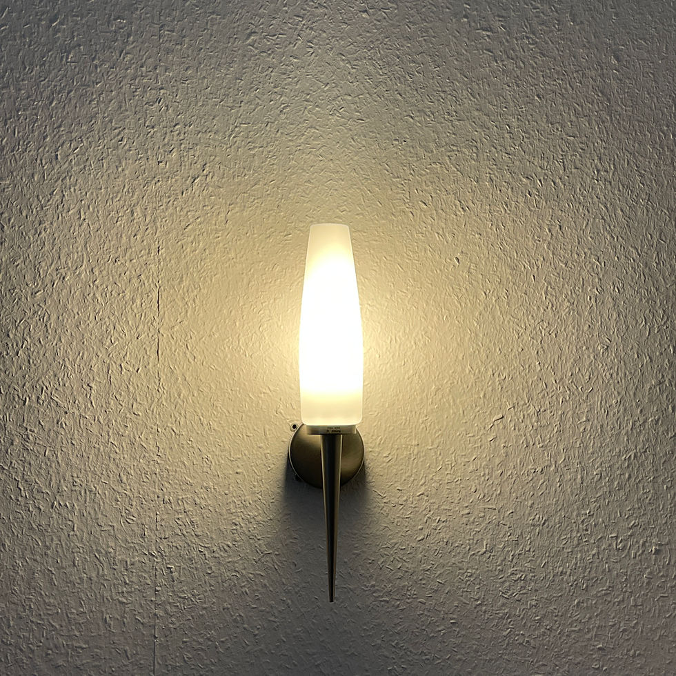 Miniaturbild: Böhmer Wandleuchte 1-fl. Stahl 31453