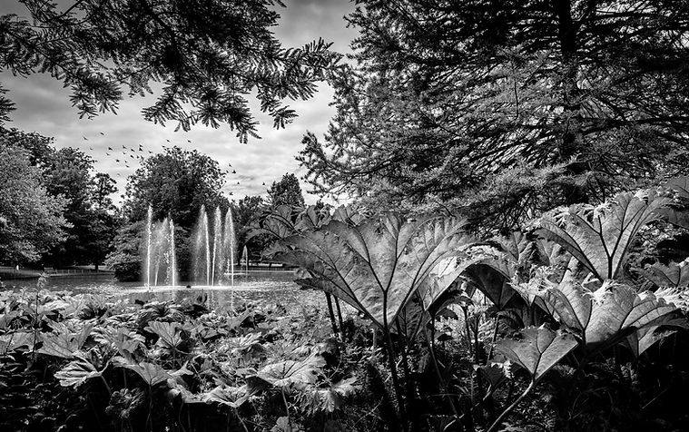 Jephson Gardens