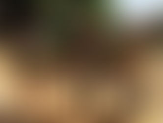 C.A.R.E. Joins GFAS & PASA Workshops