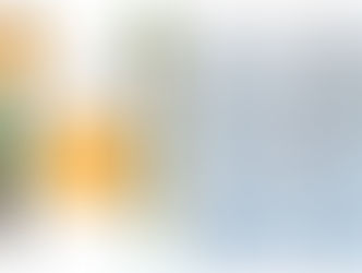 *New* 2017 Volunteer Guide