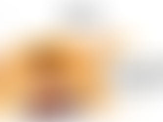 Mundo Zumm - O menino que andava sobre hipopótamos