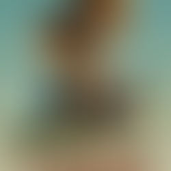 A Última Parada do Arizona