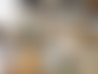 Mostra Une Robusti é prorrogada até 30 de novembro em Ribeirão