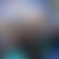 Bienal Internacional do Livro - 2022