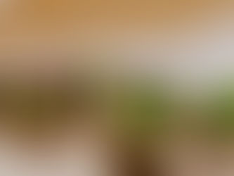 RibeirãoShopping conclui revitalização da Praça de Alimentação