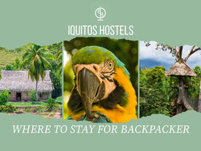 Iquitos Hostels: Where to stay and what to expect