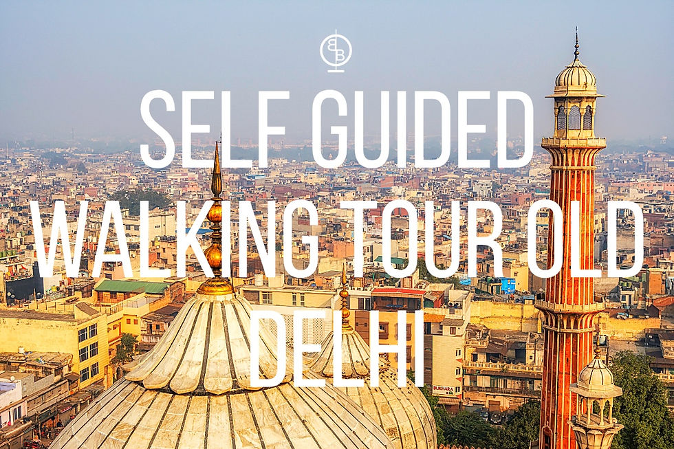 Skyline of Old Delhi with domes and a minaret. Bold text reads "SELF GUIDED WALKING TOUR OLD DELHI" over the cityscape.