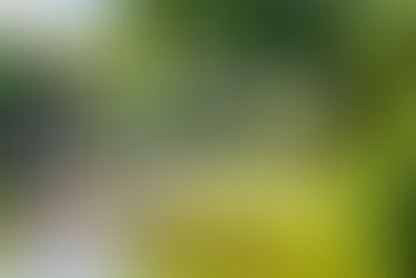 Cambridge Itinerary: A 48-Hour Summer Guide by a Local Architect