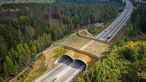 Eco Duct for animals to cross over main roads from one habitat to another