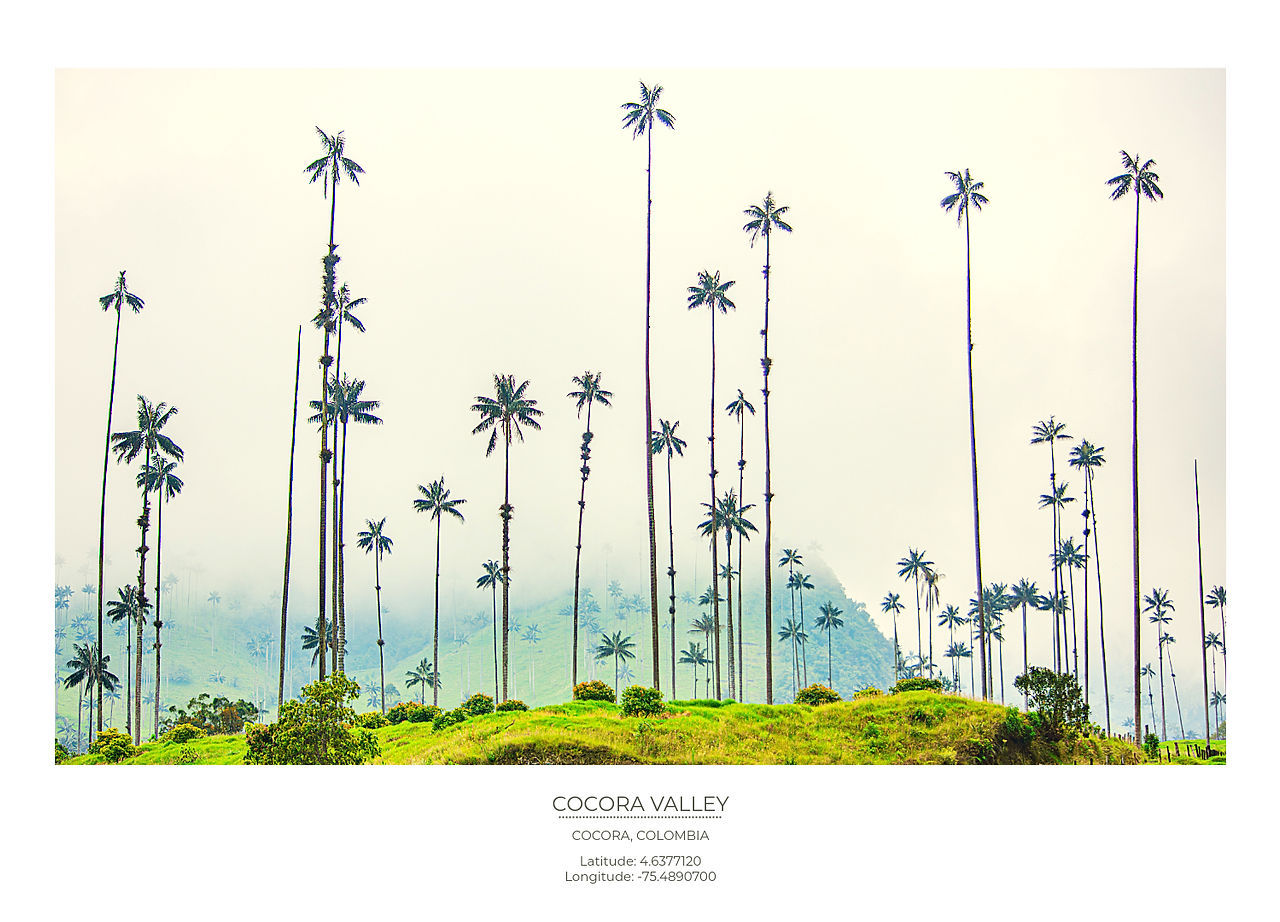 Cocora Valley Colombia Safety Tips