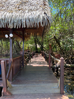 Backpacking Bocas Del Toro 35