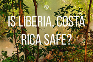 Lush green jungle background with mist. Large white text reads "Is Liberia, Costa Rica Safe?" Mood evokes inquiry and curiosity.
