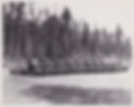 Scan-7-scaled-1-scaled.jpeg