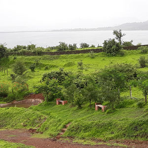 Serene Landscapes