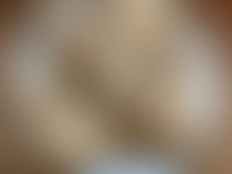 Glutenfreie und vegane Joghurt-Brötchen