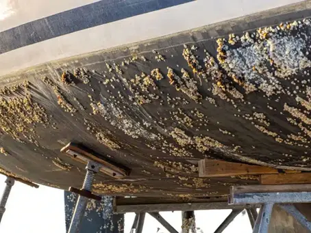 Vernici antivegetative e primer per opera viva: protezione e prestazioni ottimali per la tua barca